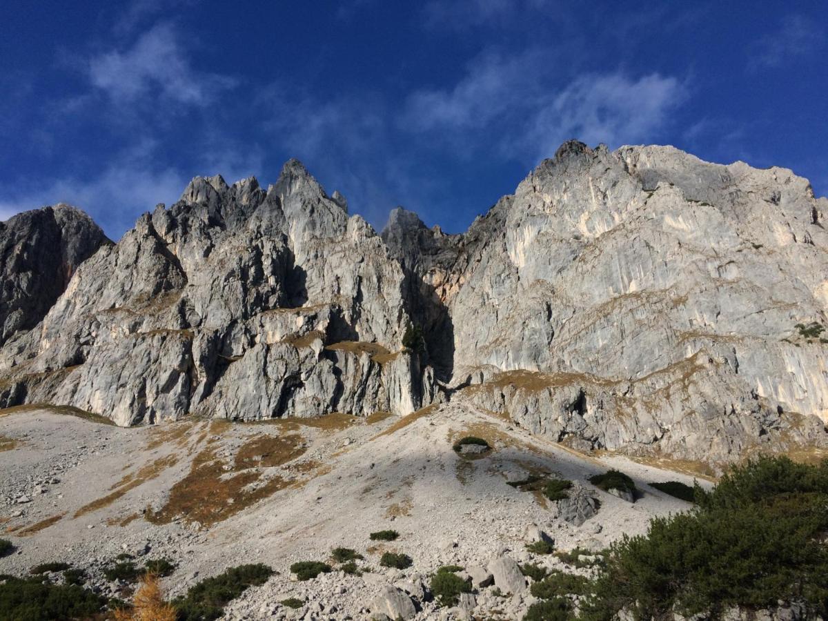 Ferienwohnung "Mein Alpenjuwel" フィルツモース エクステリア 写真